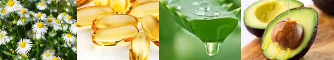 德国小甘菊护手霜出限量礼盒啦！J9国际集团拥有112年历史的(图14)